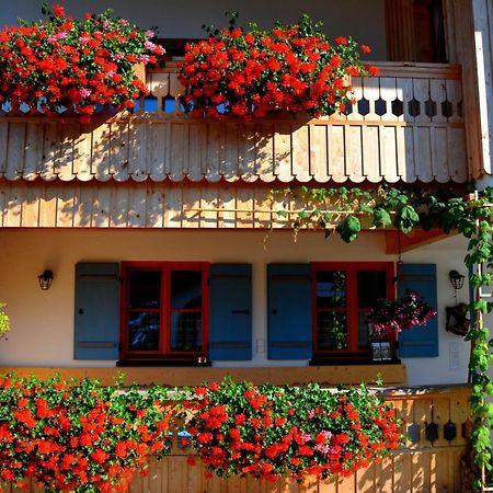 Gaestehaus Wild-Schuetz Schwangau Buitenkant foto