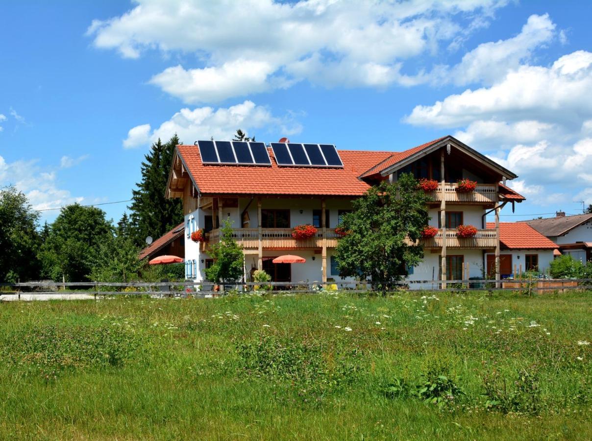 Gaestehaus Wild-Schuetz Schwangau Buitenkant foto