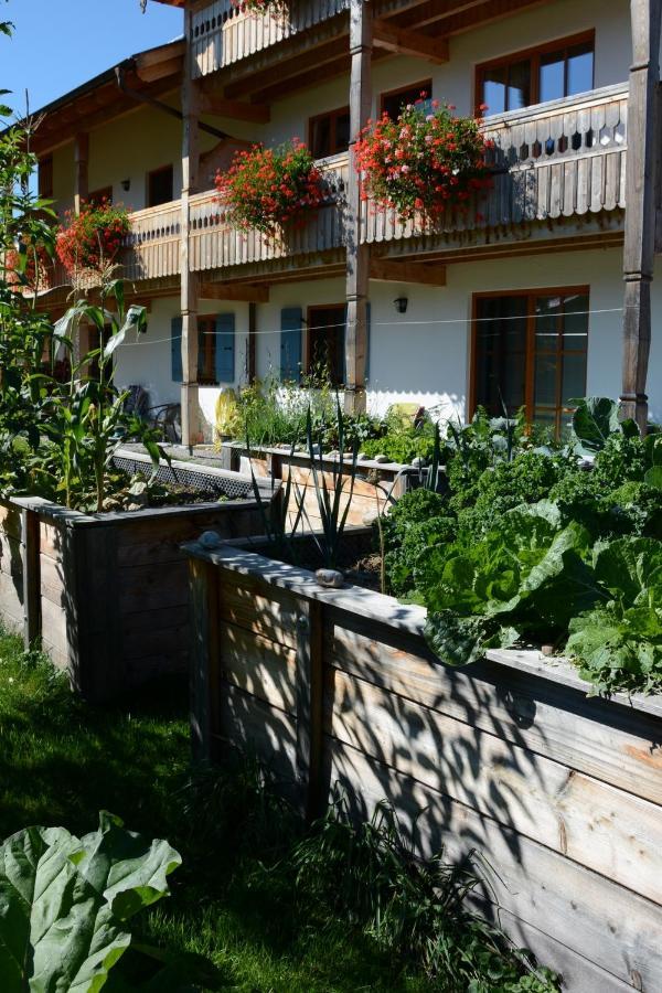 Gaestehaus Wild-Schuetz Schwangau Buitenkant foto