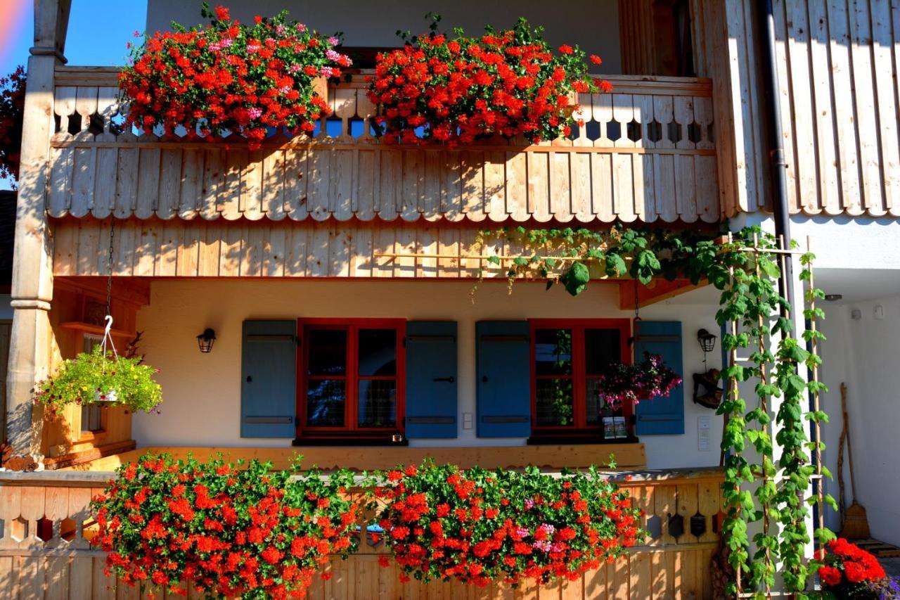 Gaestehaus Wild-Schuetz Schwangau Buitenkant foto